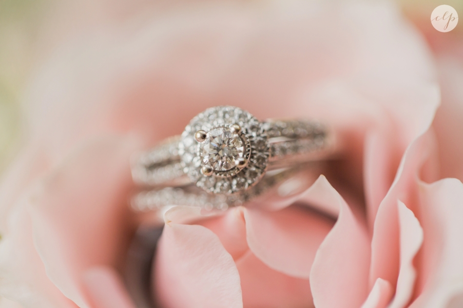 A-Grey-And-Pink-Classic-Romantic-Ohio-MidWest-Wedding_3307